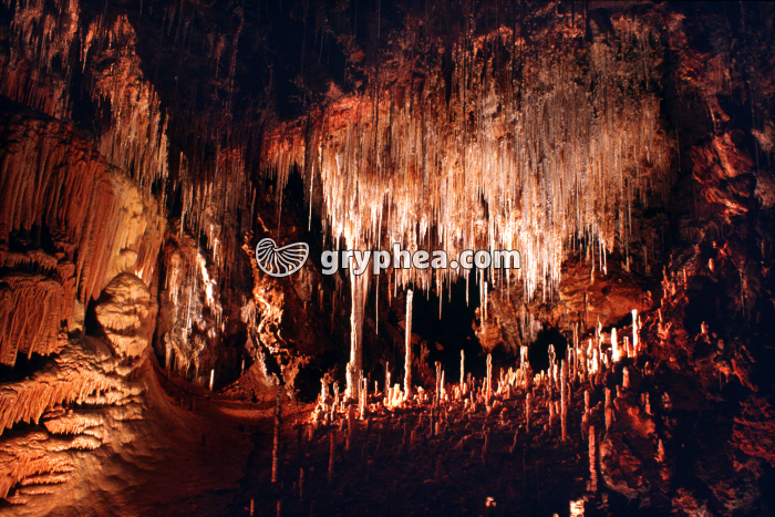 Stalactites, stalagmites et fistuleuses - Grotte de Clamouse (Hérault 1975) - gryphea.org